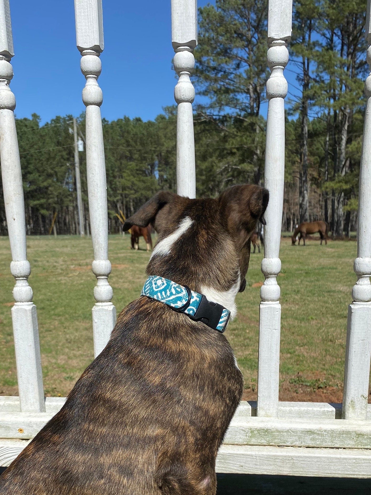Teal Boho Aztec Dog Collar, Southwestern Tribal Pattern, Dixie Lane Collars