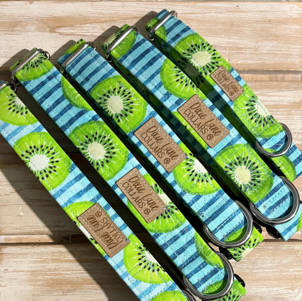 Kiwi Striped Dog Collar