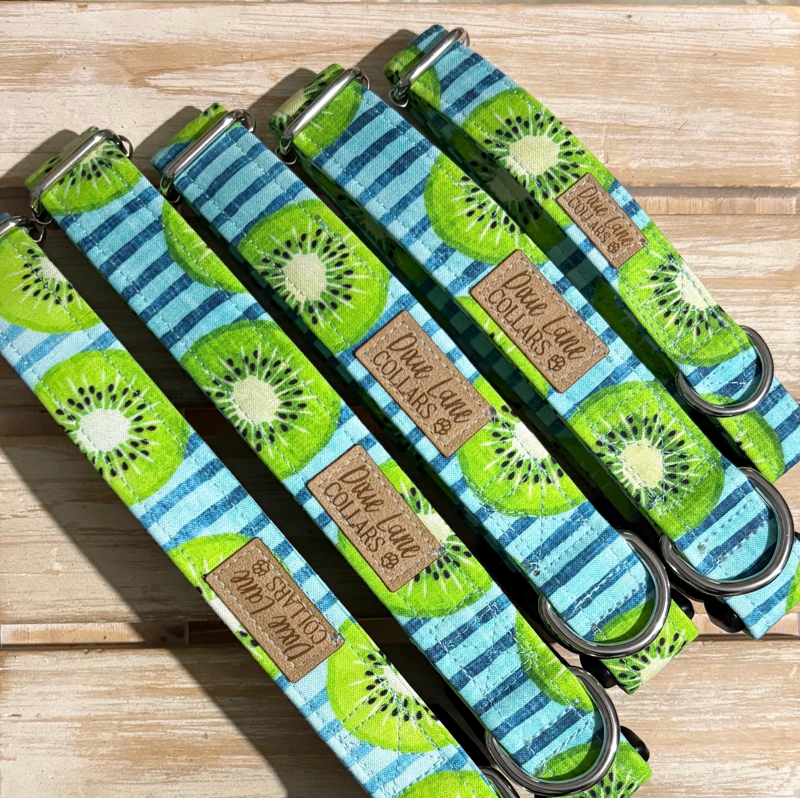 Kiwi Striped Dog Collar