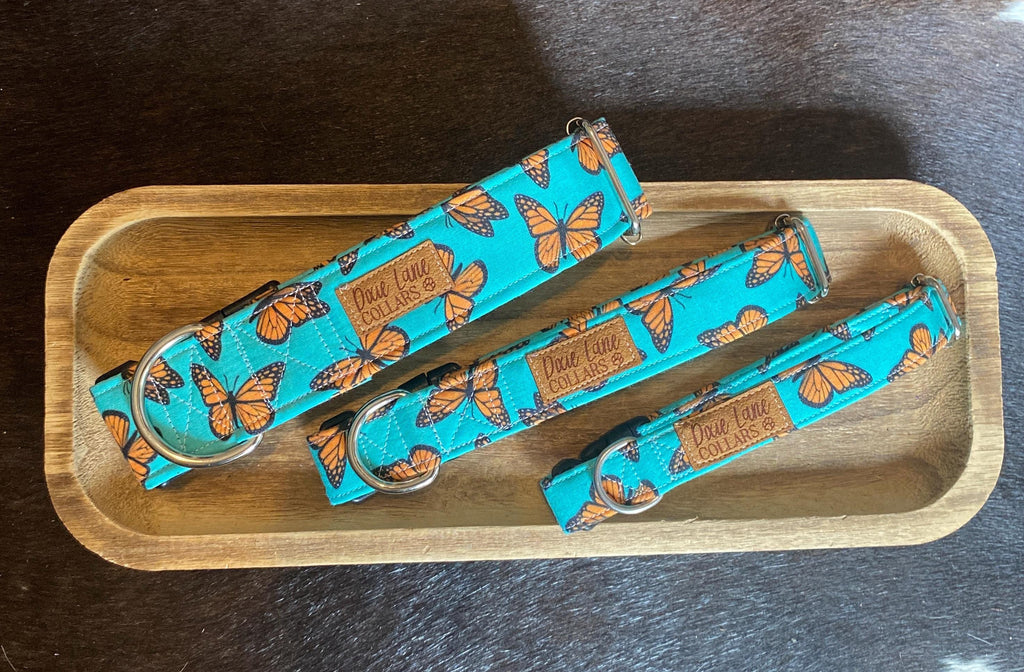 Teal and Orange Butterflies Dog Collar