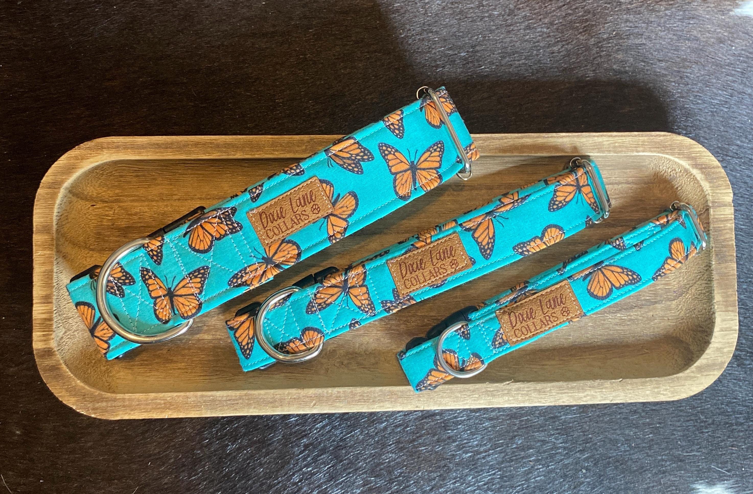 Teal and Orange Butterflies Dog Collar