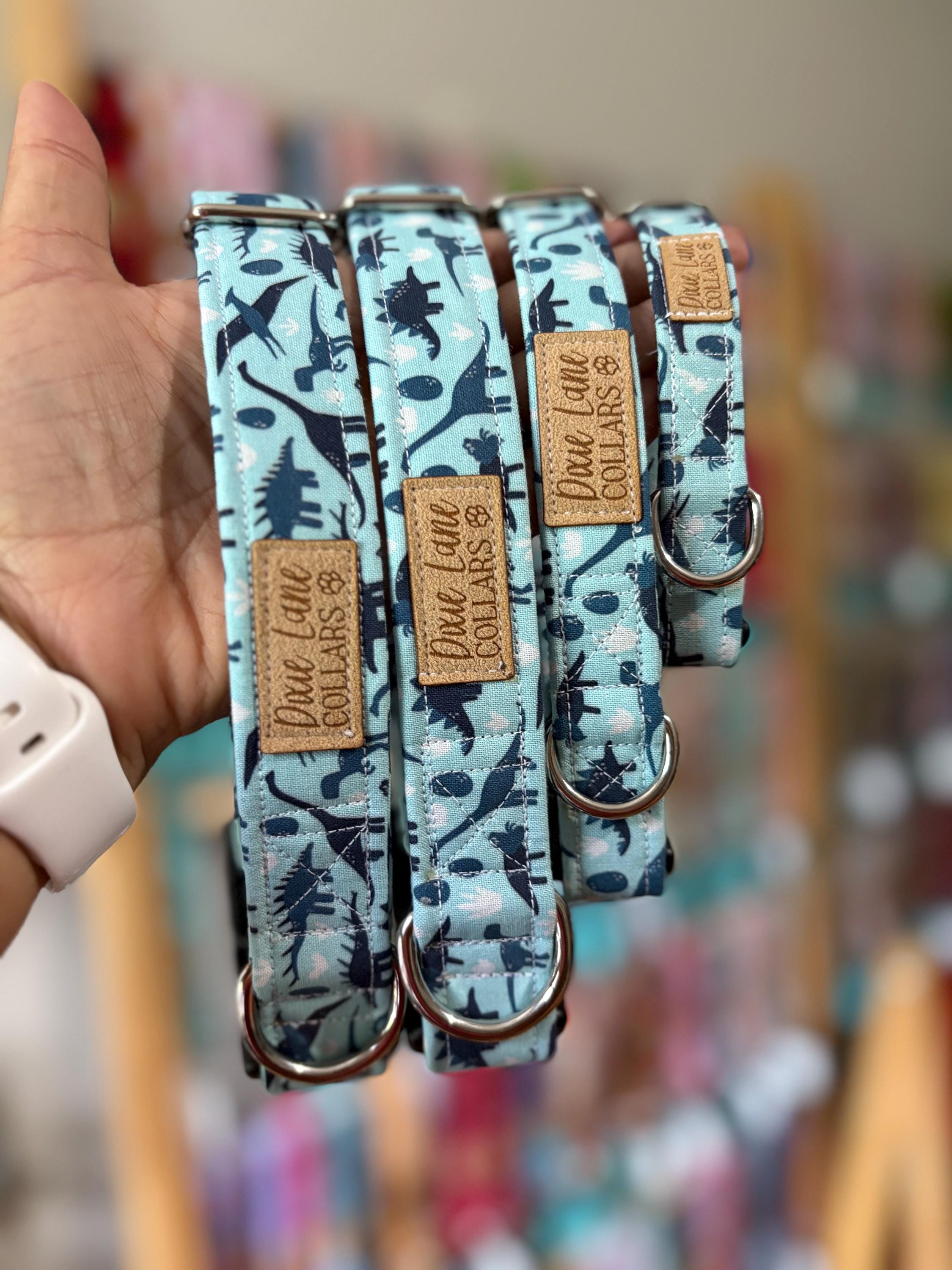 Blue Dinosaur Dog Collar