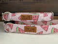 Pink Watermelon Popsicle Dog Collar