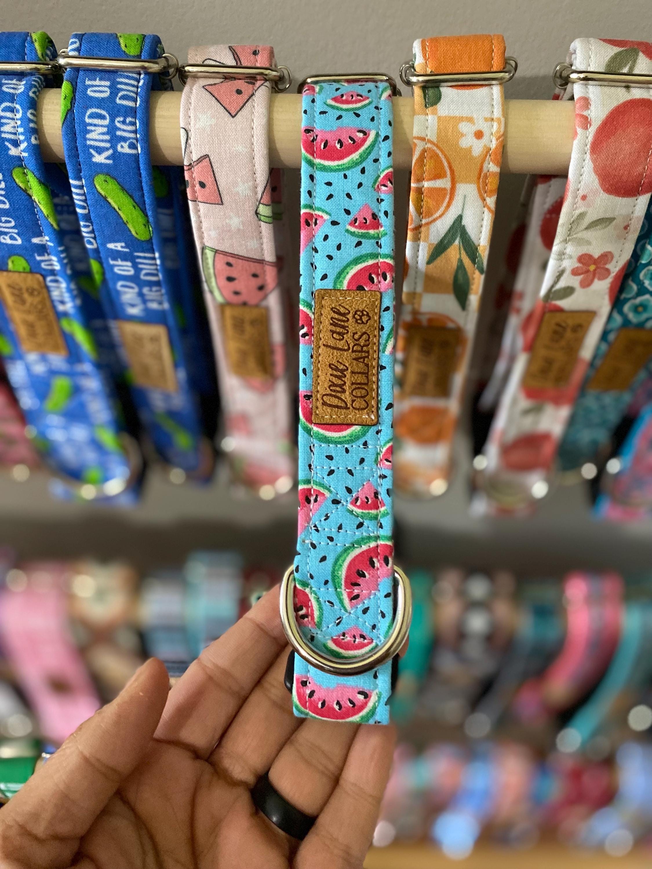 Teal  Watermelons Dog Collar