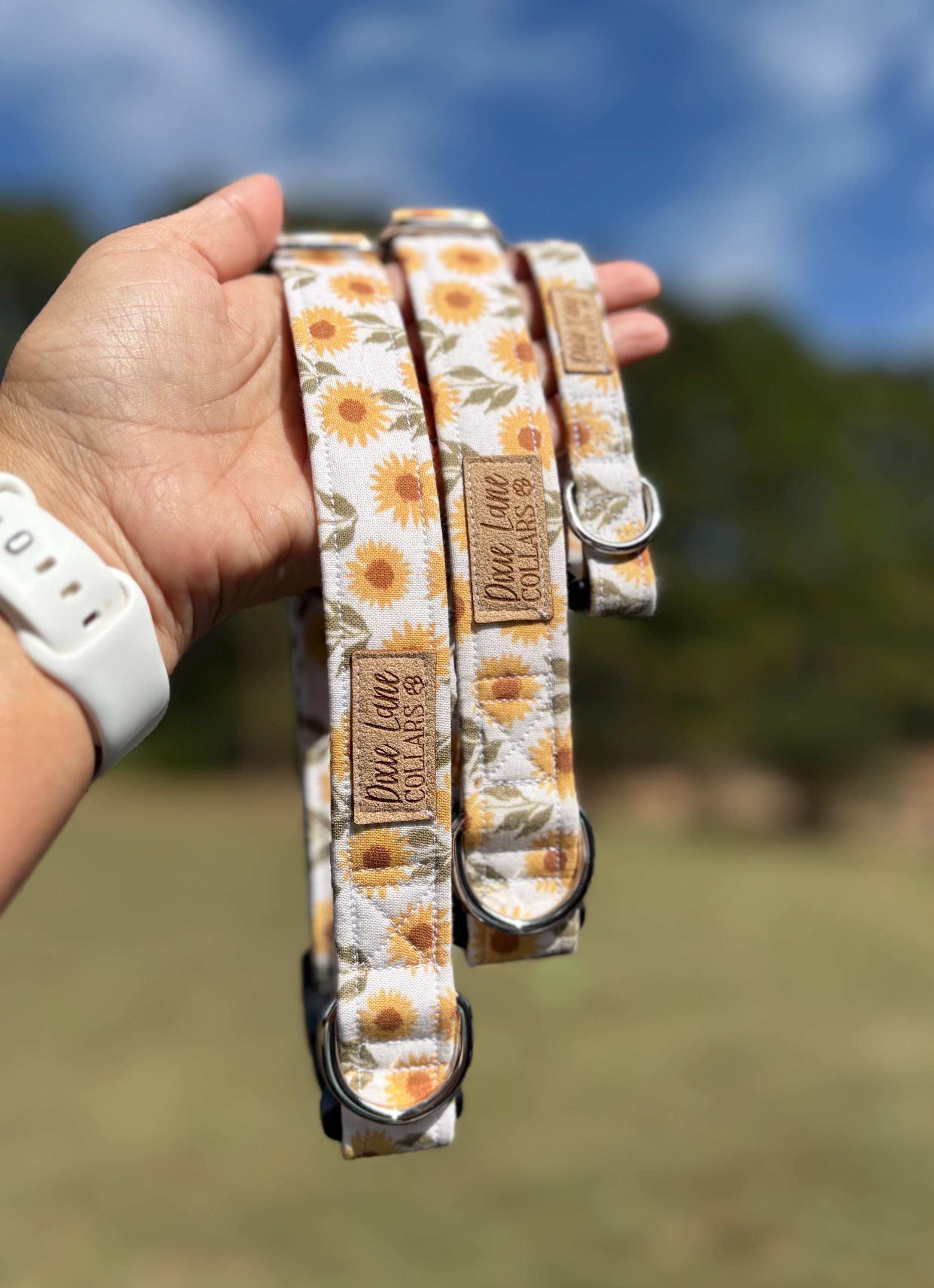 Vintage Sunflower Field Dog Collar
