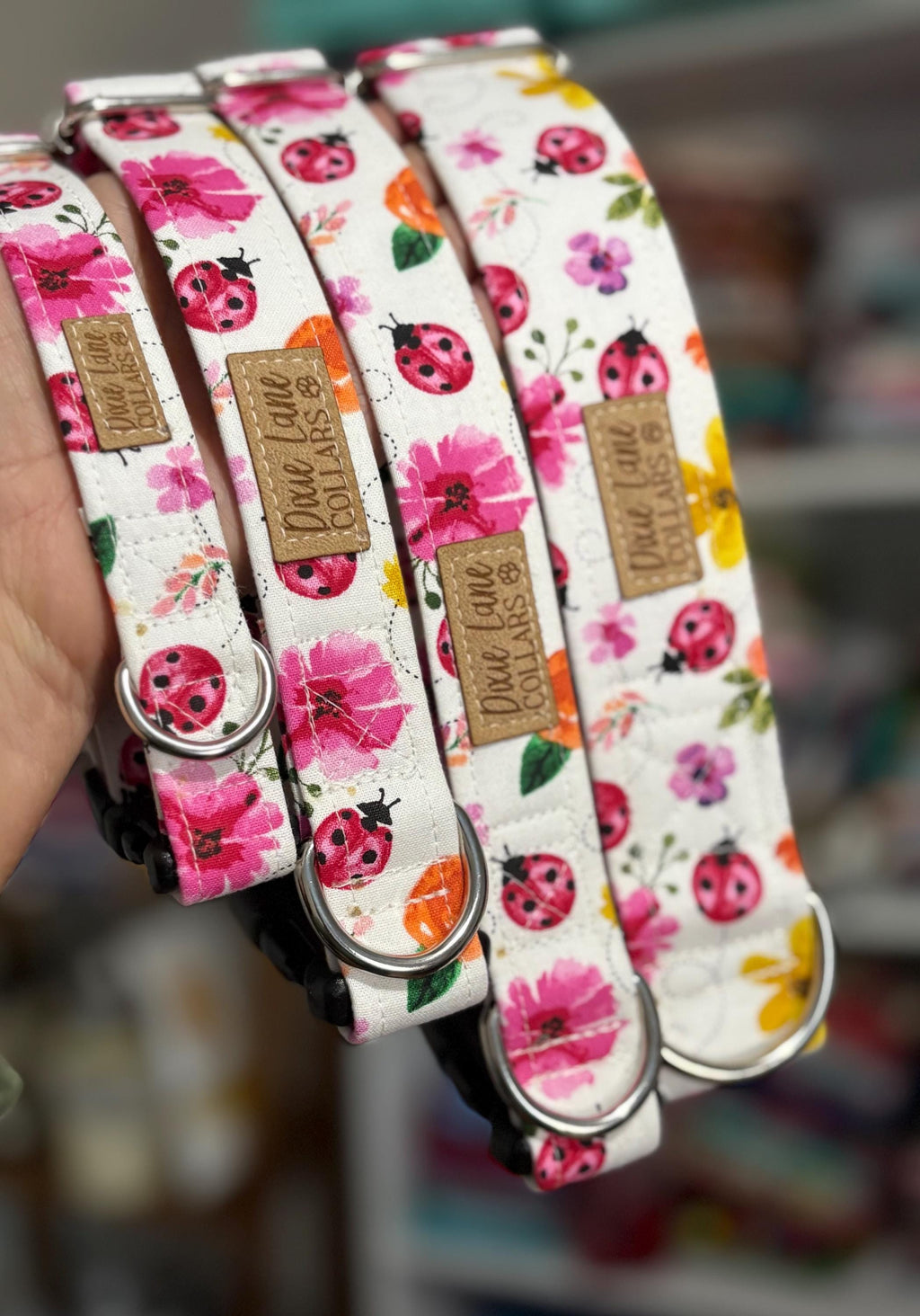 Lady Bug Floral Dog Collar