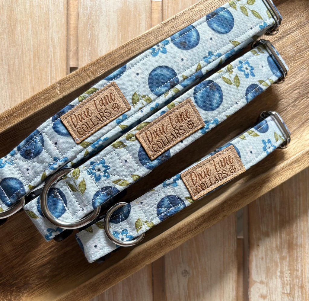 Blueberry Floral Dog Collar