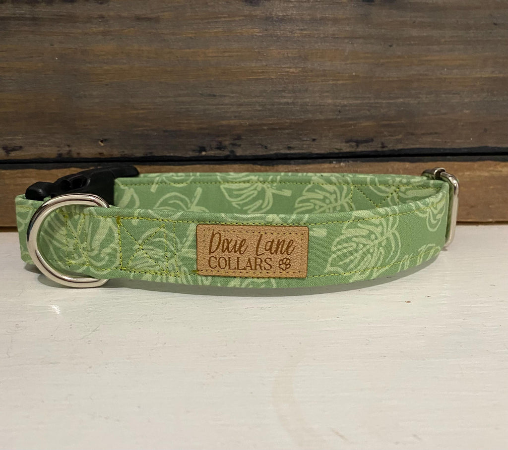 Sage Green Monstera Dog Collar