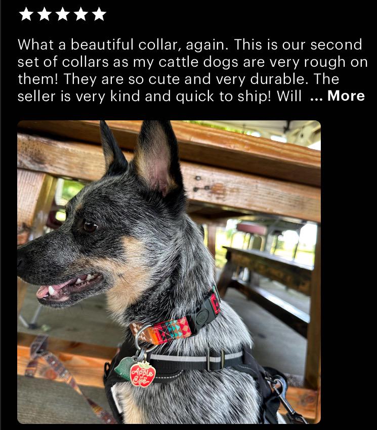 Brown Aztec Western Dog Collar
