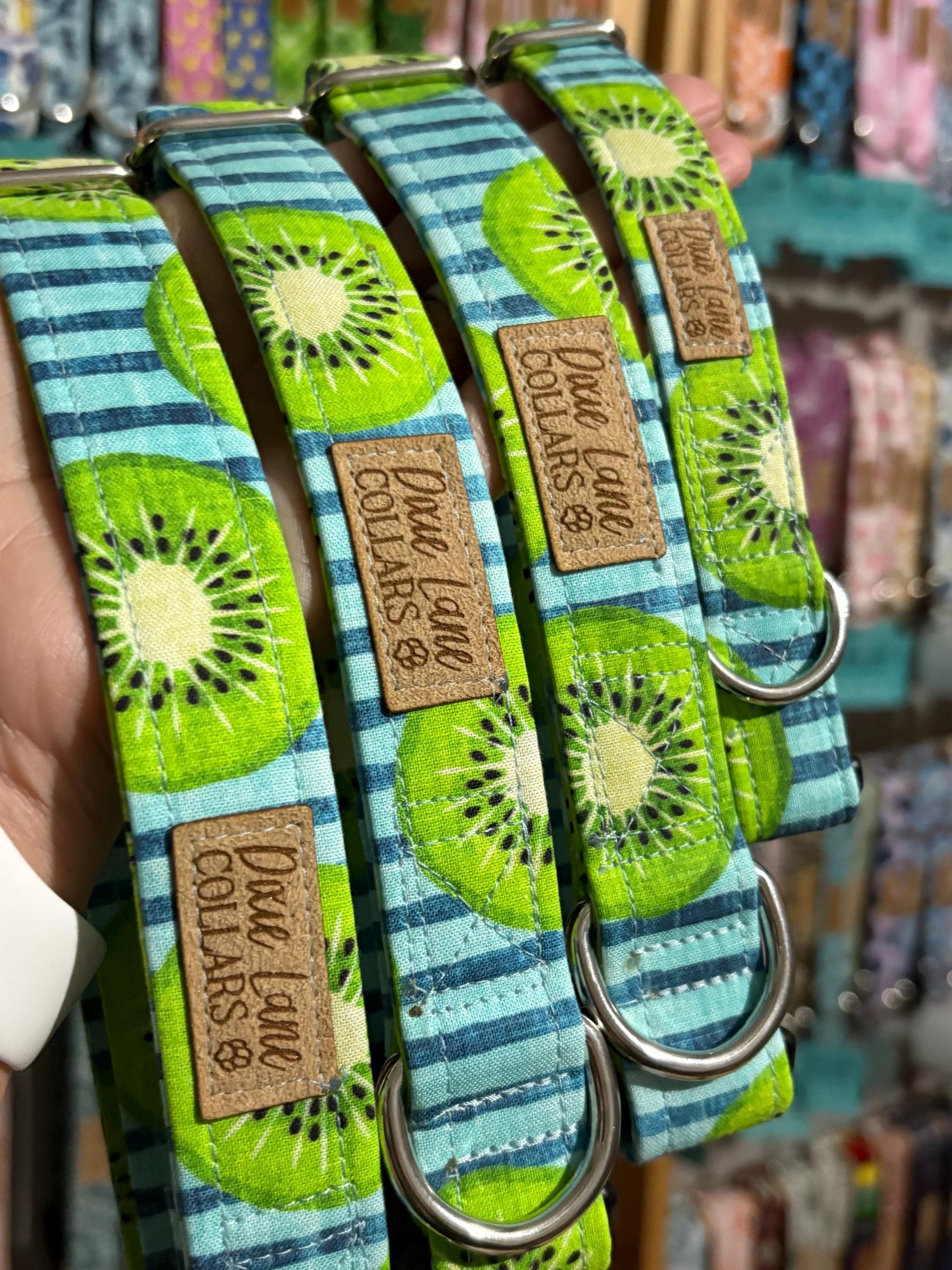 Kiwi Striped Dog Collar
