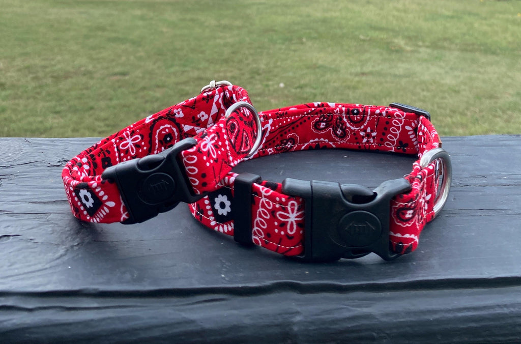 Red Bandana Western Dog Collar