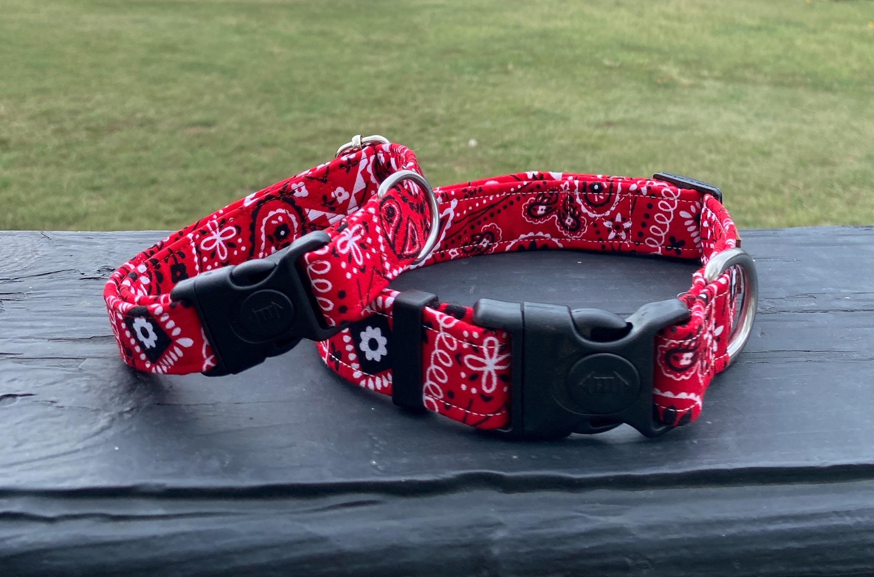 Red Bandana Western Dog Collar