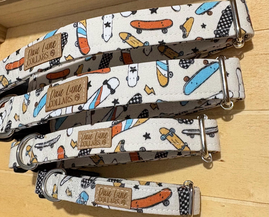 Skateboards Dog Collar
