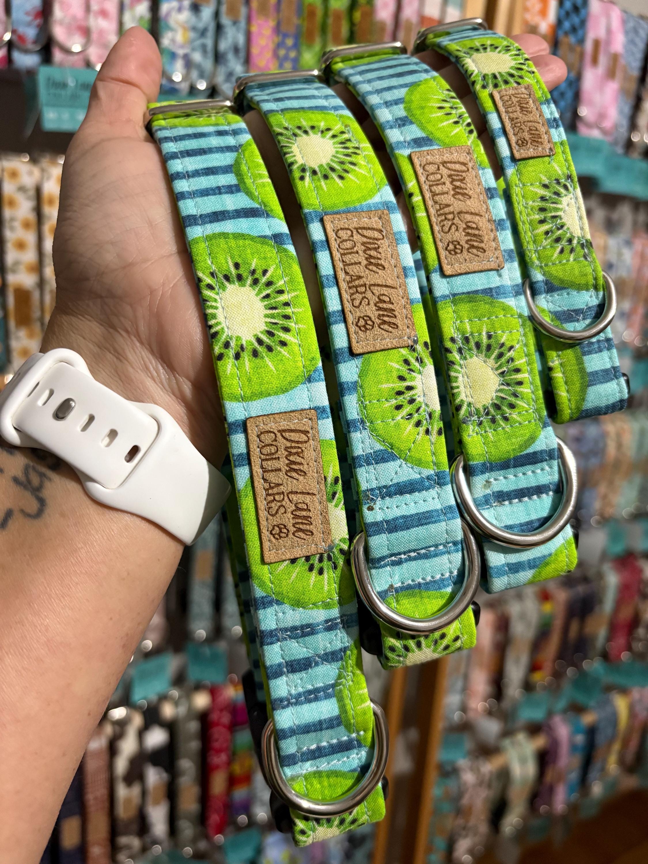 Kiwi Striped Dog Collar