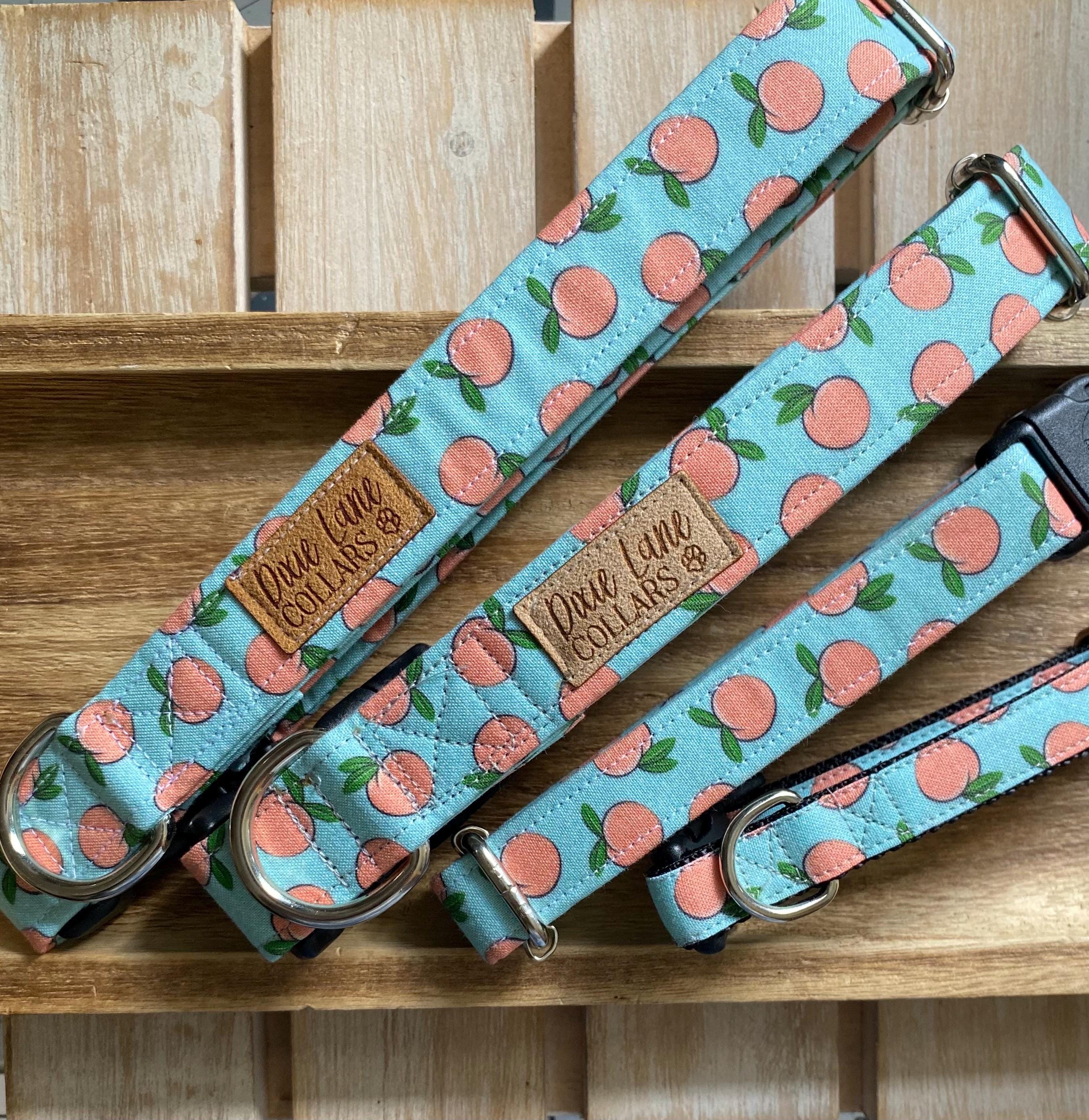 Peaches on Teal Dog Collar